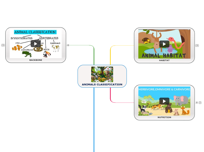 ANIMALS CLASSIFICATION