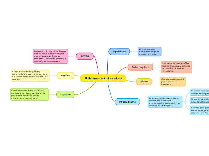 El sistema central nervioso