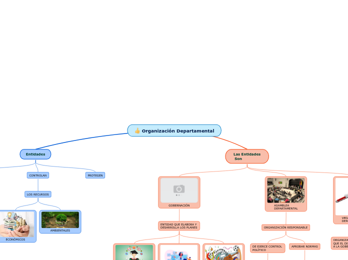 Organización Departamental