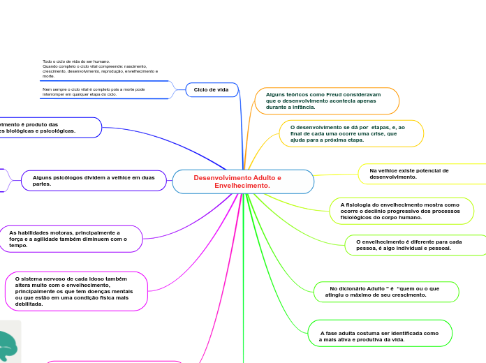       Desenvolvimento Adulto e                     Envelhecimento. 