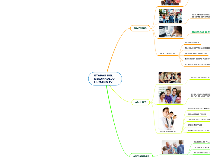 ETAPAS DEL DESARROLLO HUMANO IV