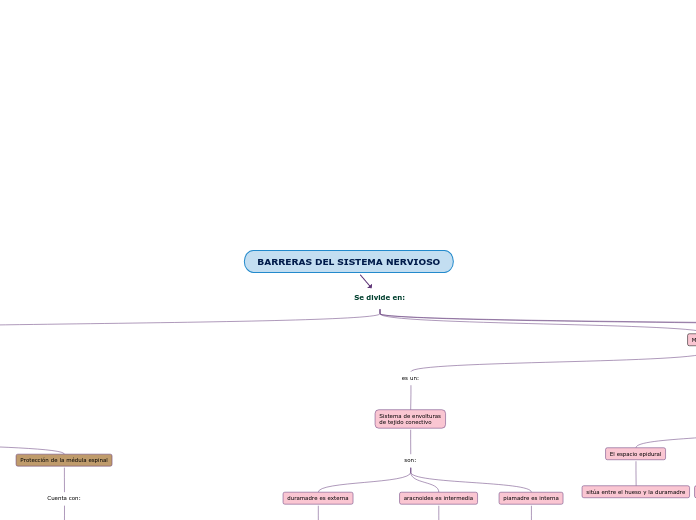 BARRERAS DEL SISTEMA NERVIOSO