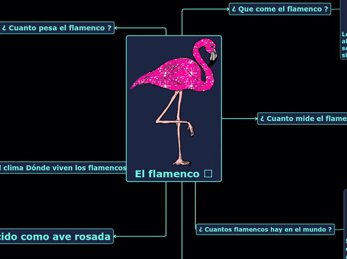 El flamenco 🦩