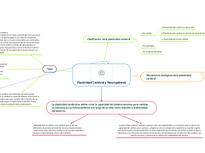 Plasticidad Cerebral y Neurogénesis