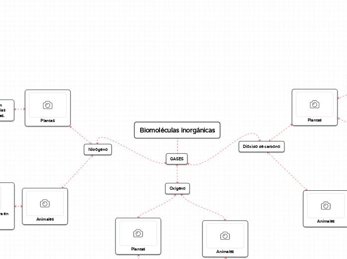 Biomoléculas inorgánicas