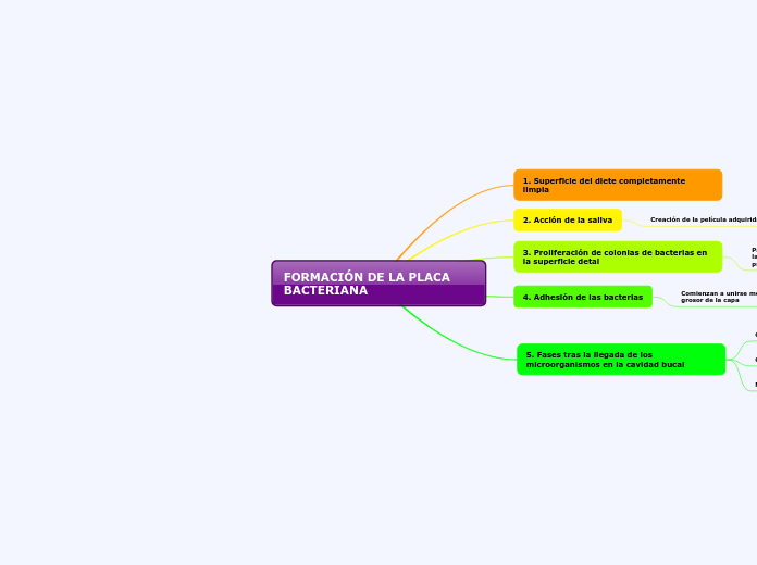 FORMACIÓN DE LA PLACA BACTERIANA