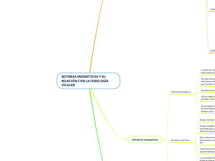 SISTEMAS ENERGÉTICOS Y SU RELACIÓN CON LA FISIOLOGÍA CELULAR