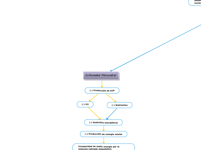 Enfermedad Mitocondrial