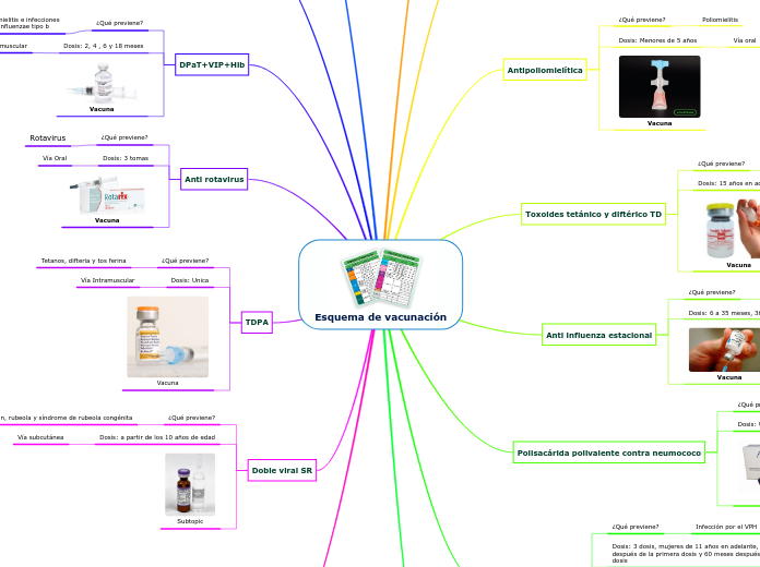 Esquema de vacunación