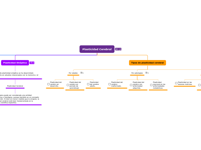 Plasticidad Cerebral