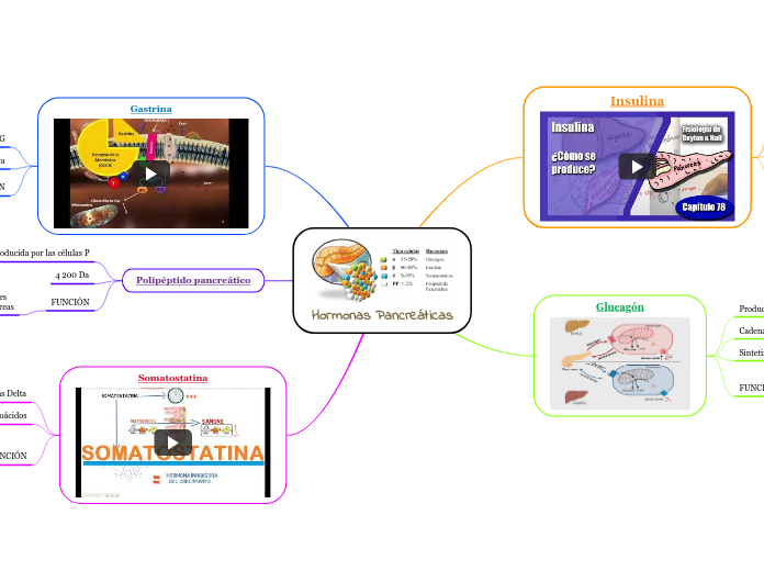 Hormonas Pancreáticas