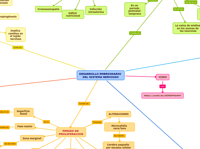 DESARROLLO EMBRIONARIO 
DEL SISTEMA NERVIOSO