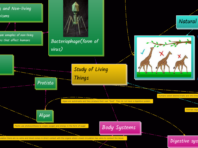 Study of Living Things