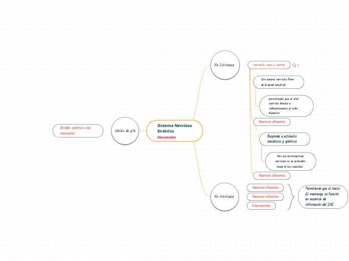 Sistema Nervioso               Entérico                 Vías neurales 