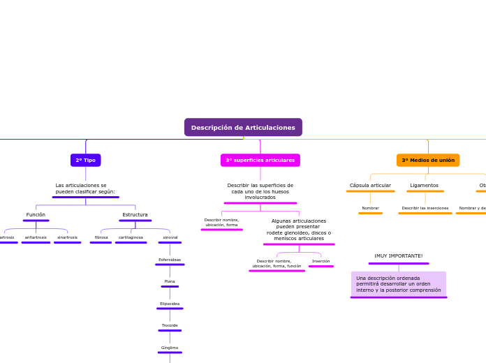 Descripción de Articulaciones