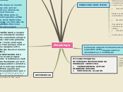 Sample Mind Map