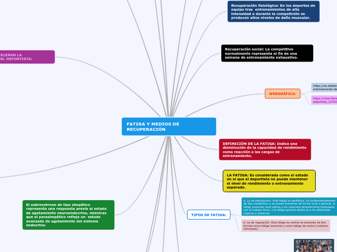FATIGA Y MEDIOS DE RECUPERACIÓN