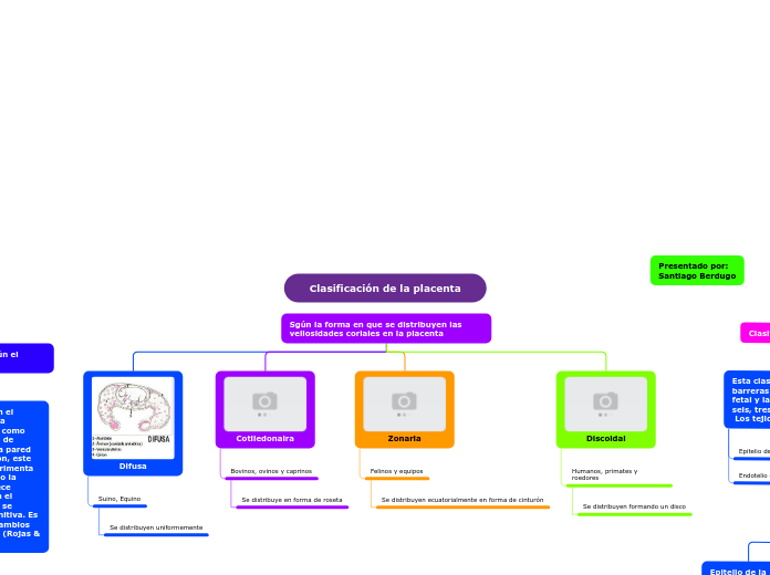 Clasificacion de la placenta