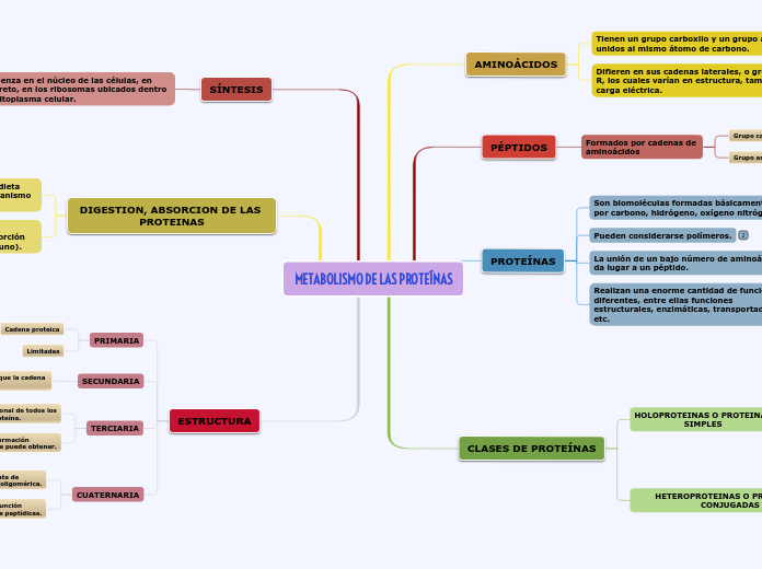METABOLISMO DE LAS PROTEÍNAS