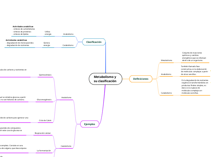 Metabolismo y su clasificación