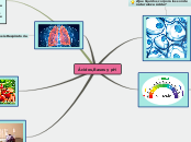 Sample Mind Map