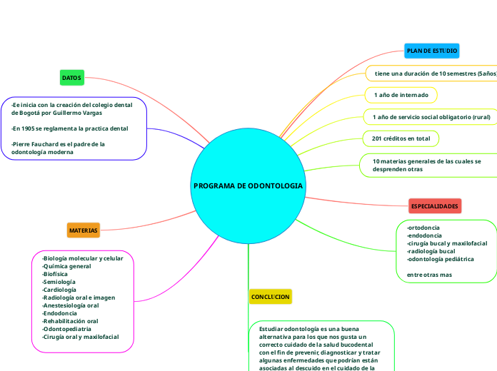 PROGRAMA DE ODONTOLOGIA