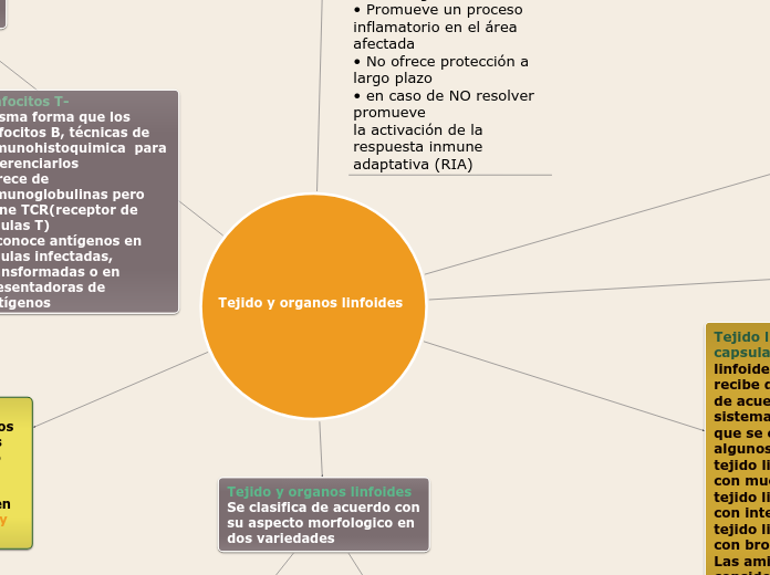 Tejido y organos linfoides