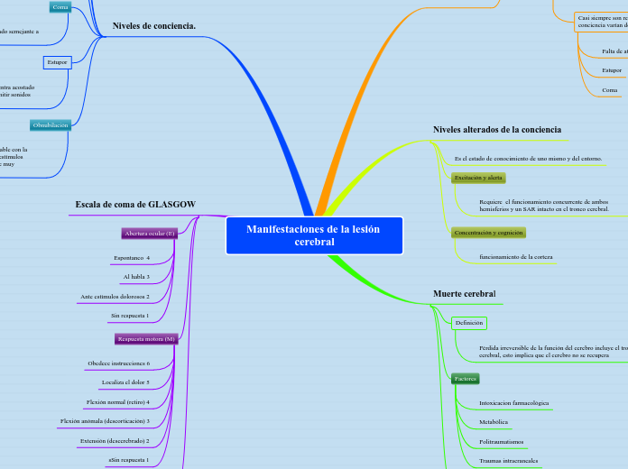 Manifestaciones de la lesión cerebral