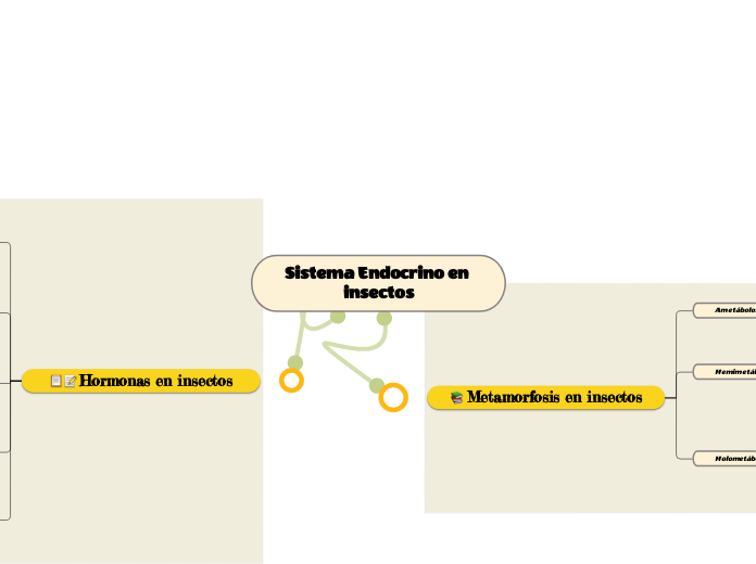 Sistema Endocrino en insectos