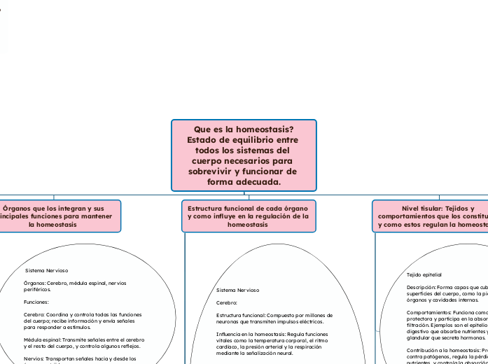 Que es la homeostasis?
Estado de equilibrio entre todos los sistemas del cuerpo necesarios para sobrevivir y funcionar de forma adecuada.