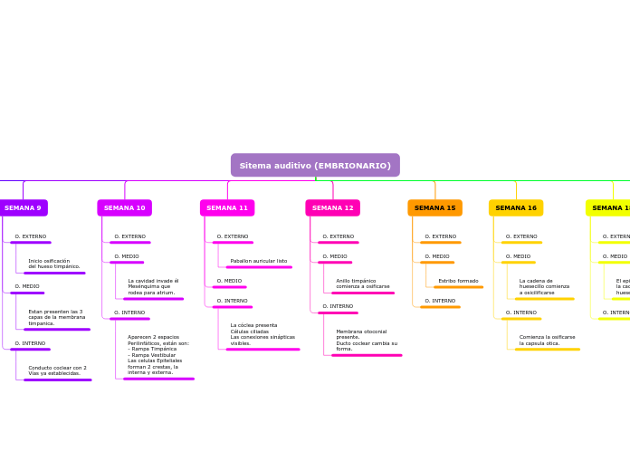 Sitema auditivo (EMBRIONARIO)