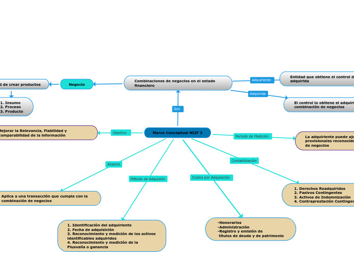 Marco Conceptual NIIF 3_Ana_Vaca