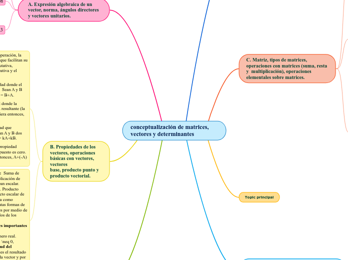 conceptualización de matrices, vectores y determinantes