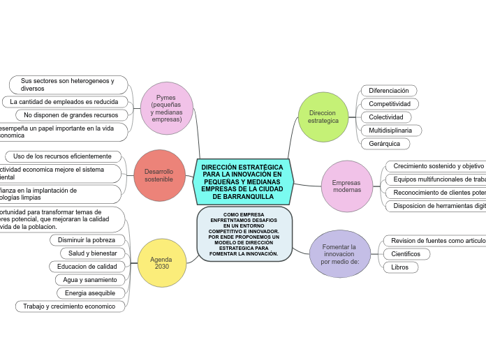 DIRECCIÓN ESTRATÉGICA PARA LA INNOVACIÓN EN PEQUEÑAS Y MEDIANAS EMPRESAS DE LA CIUDAD DE BARRANQUILLA