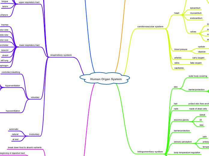 Human Organ System