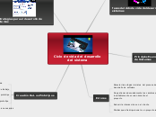 Ciclo de vida del desarrollo del sistema