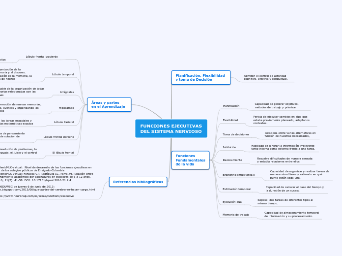 FUNCIONES EJECUTIVAS      DEL SISTEMA NERVIOSO