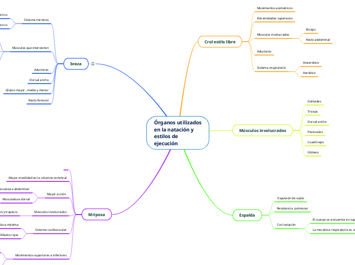 Órganos utilizados en la natación y estilos de ejecución  