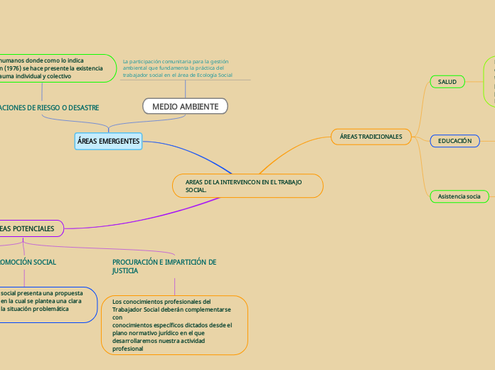AREAS DE LA INTERVENCON EN EL TRABAJO SOCIAL.