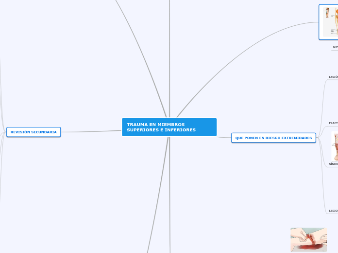 TRAUMA EN MIEMBROS SUPERIORES E INFERIORES