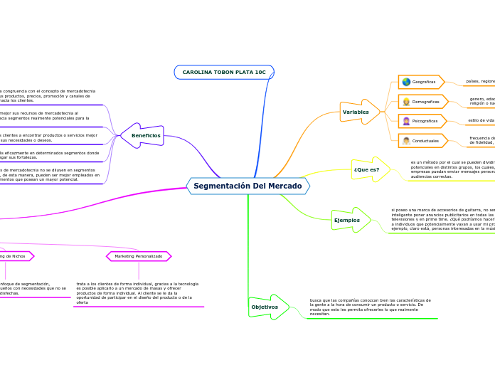 Segmentación Del Mercado
