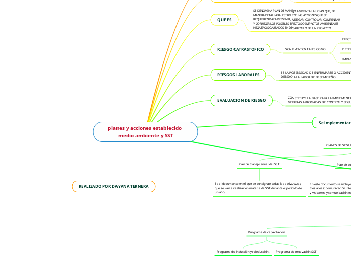 planes y acciones establecido medio ambiente y SST