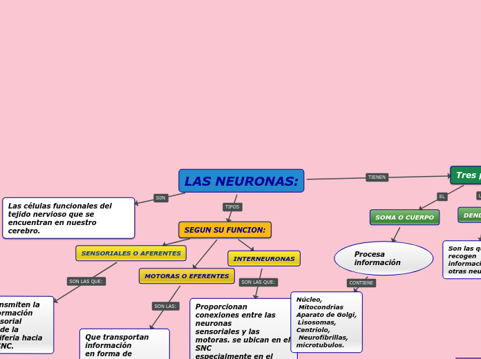 LAS NEURONAS: