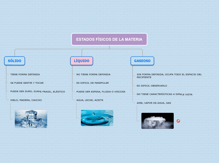 Organigrama arbol