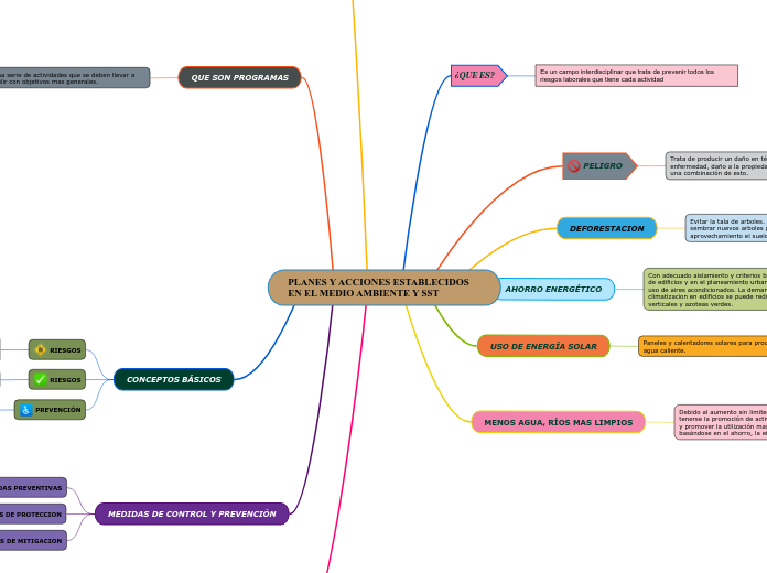 PLANES Y ACCIONES ESTABLECIDOS EN EL MEDIO AMBIENTE Y SST
