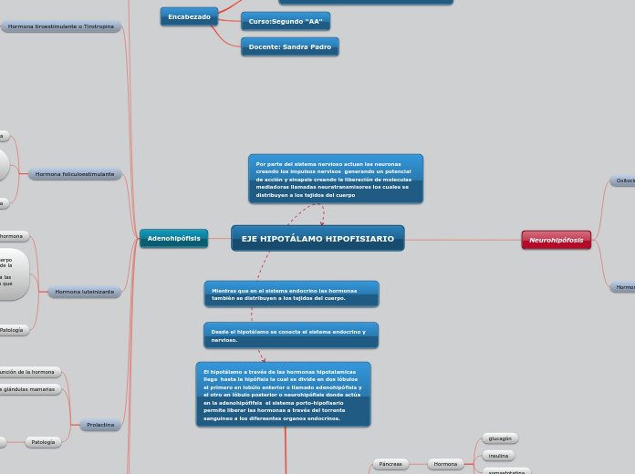 EJE HIPOTÁLAMO HIPOFISIARIO