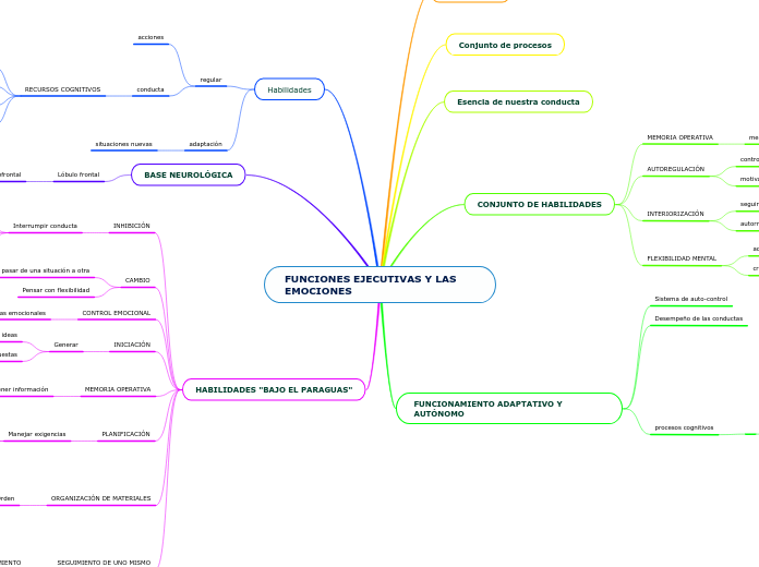 FUNCIONES EJECUTIVAS Y LAS EMOCIONES