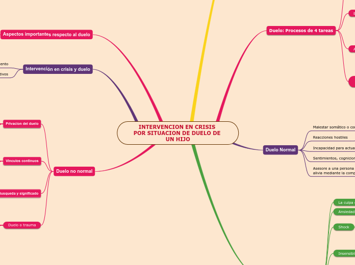INTERVENCION EN CRISIS POR SITUACION DE DUELO DE UN HIJO