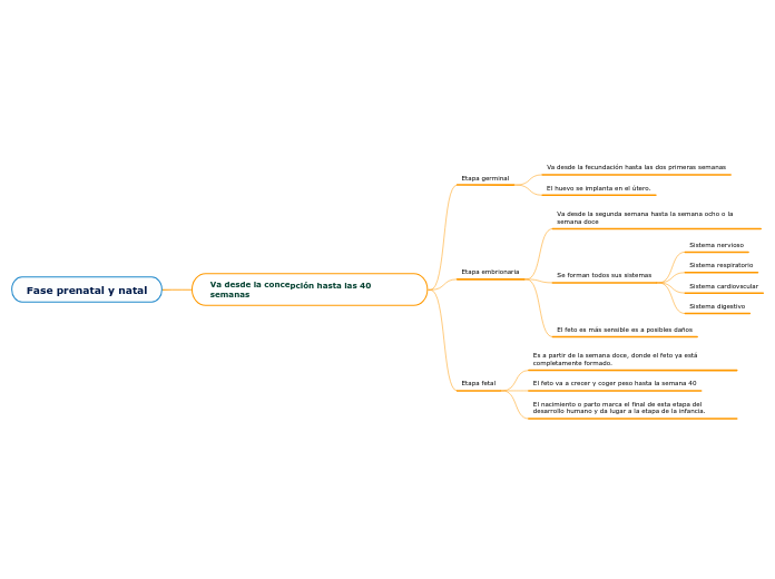 Fase prenatal y natal