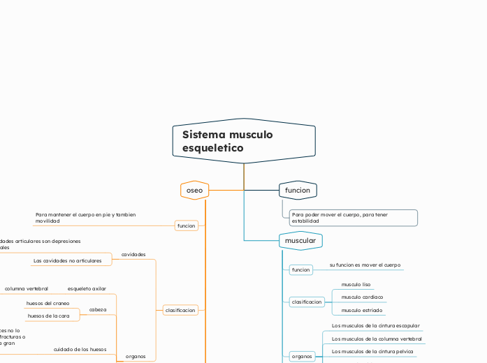 Sistema musculo esqueletico